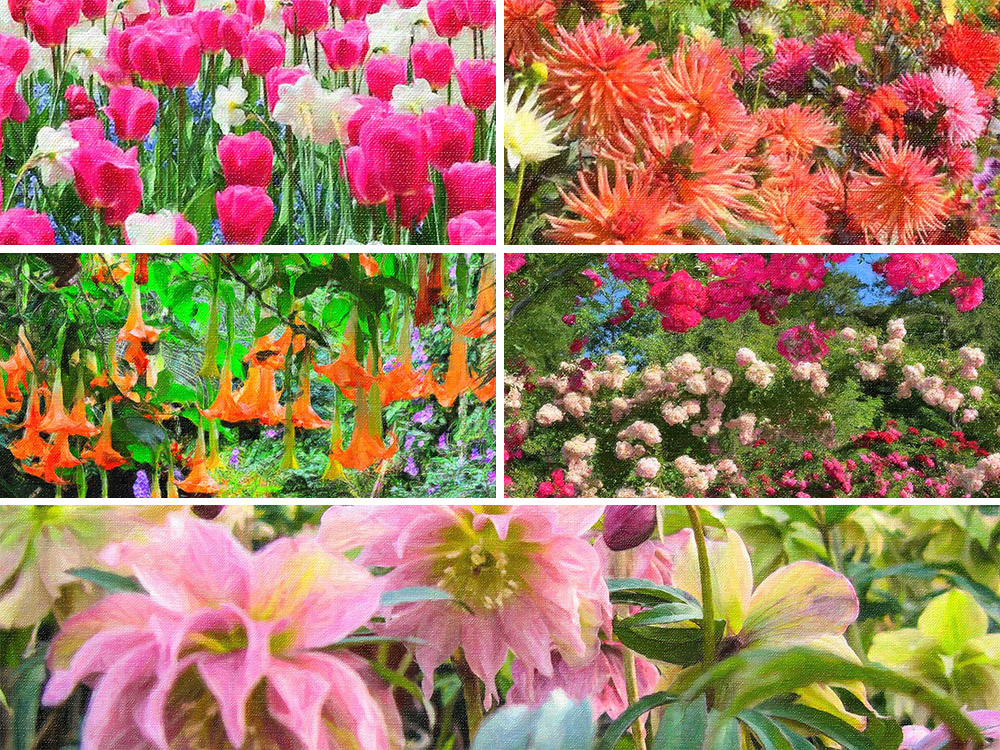 Detail of some of the 'painted' background header images.